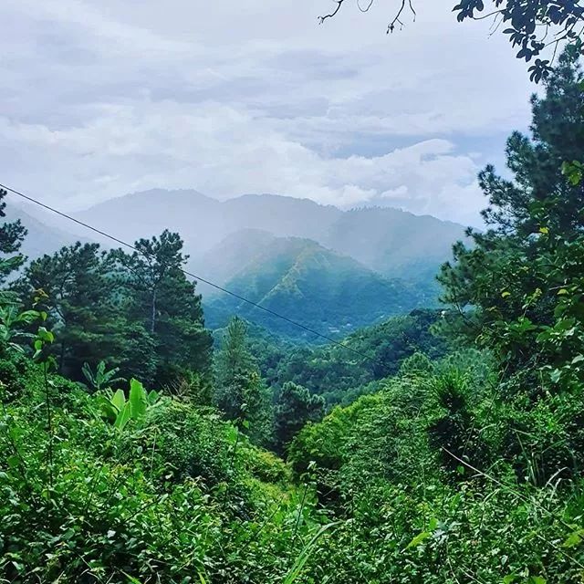 The Complete Guide to Buying & Pour Over Brewing Jamaican Blue Mountain No.1 Coffee: Price, Grade, Flavor & Extraction Tips