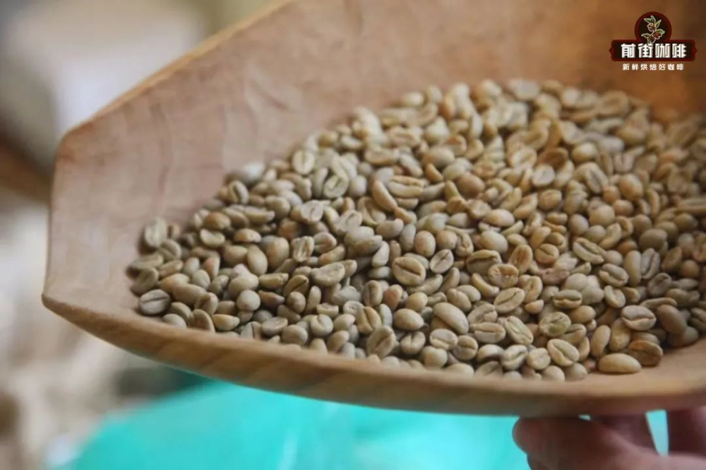A Comprehensive Guide to Ethiopian Heirloom Coffee: Regional Flavors and Washed vs. Natural Processing Differences