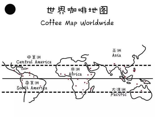 A Complete Guide to Yirgacheffe Flavors: From Cultivation and Processing to Pour Over