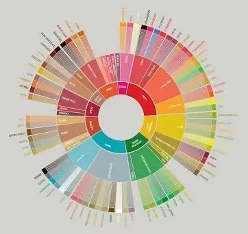How Can You Taste the Flavors in Pour Over Coffee? A Deep Dive into the SCAA Flavor Wheel and Sensory Science