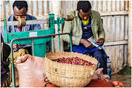 A Complete Guide to Yirgacheffe Coffee Beans: Price Comparison, Flavor Profile & Pour Over Parameters