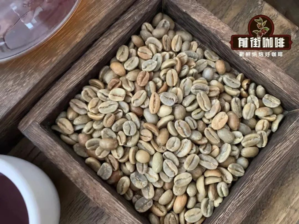 Panama vs. Ethiopia Gesha Village: A Complete Guide to Variety Origins, Flavor Profiles, and Pour Over Recommendations
