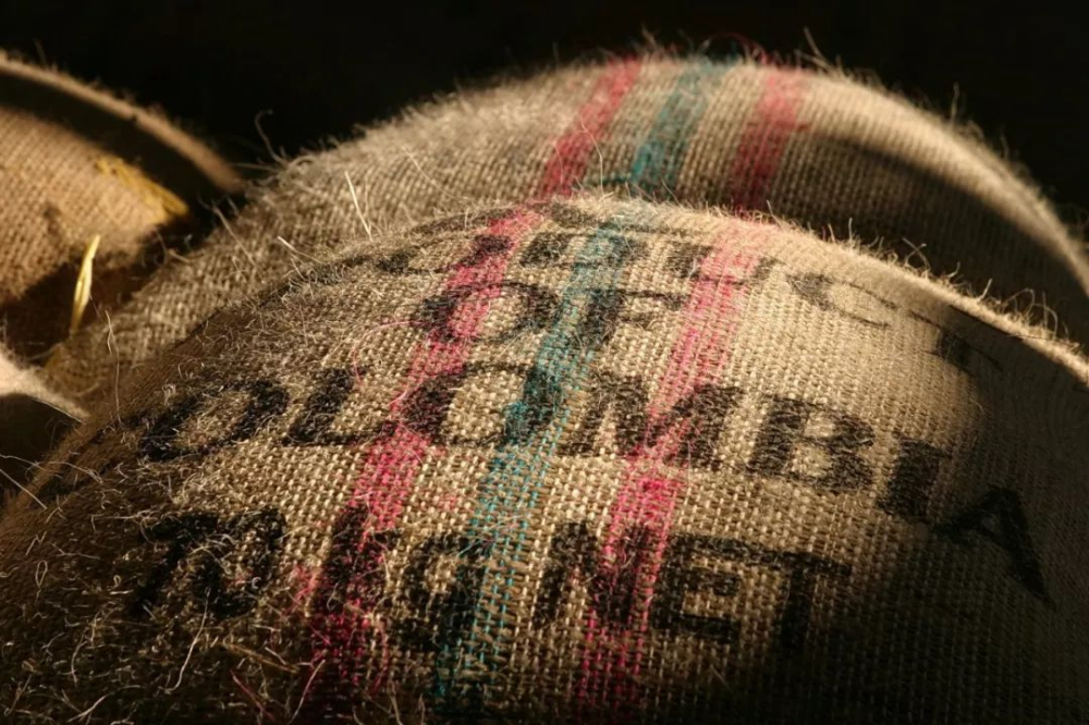 Complete Guide to Colombian Coffee Grading: Differences in Flavor Between Excelso, Supremo, and Huila, Plus Brewing Recommendations