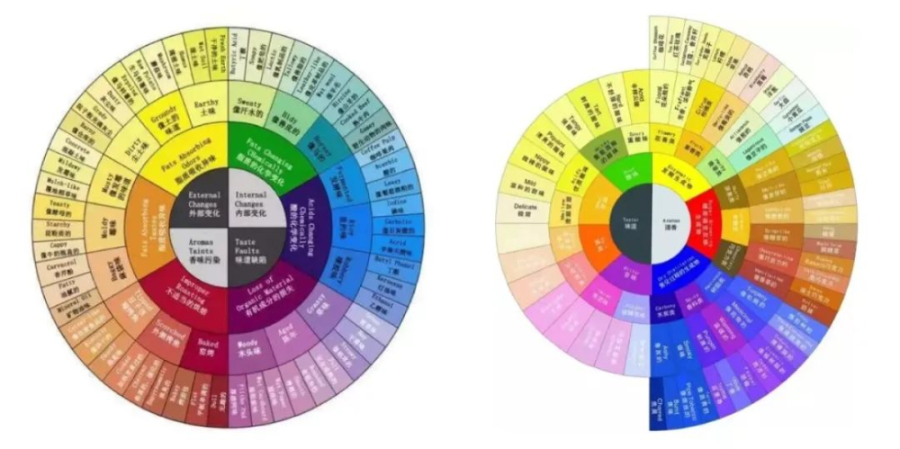 How Can You Taste the Flavors in Pour Over Coffee? A Deep Dive into the SCAA Flavor Wheel and Sensory Science
