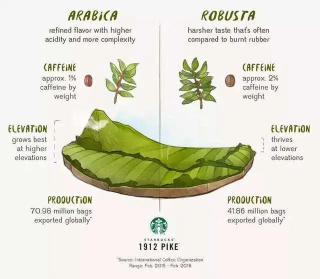 A Comprehensive Guide to Arabica Beans in All Scenarios: Compatibility Analysis for Espresso, Pour Over, Cold Brew, and Latte