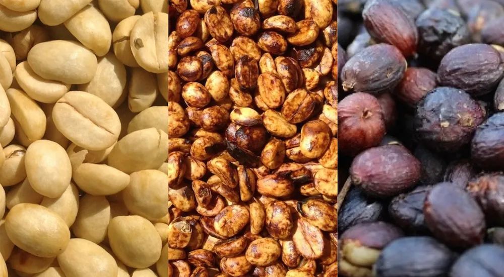 Costa Rica Mozart Coffee Review: A Complete Guide to the Characteristics of Raisin Honey Process and Pour Over Techniques