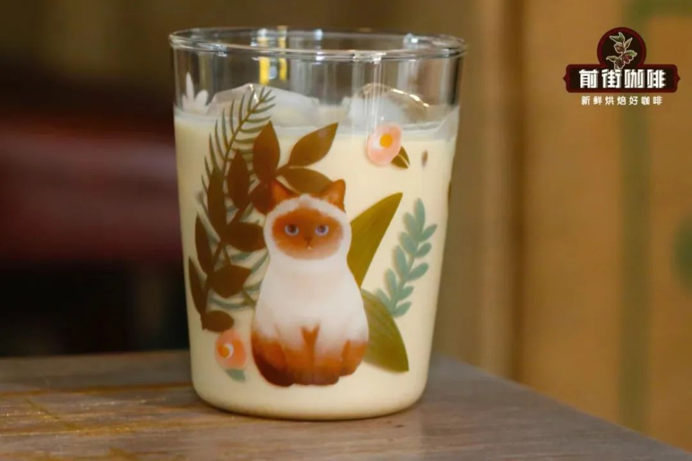 Making Cold Brew with Milk? A Complete Guide to Flavor, Recipe & Storage