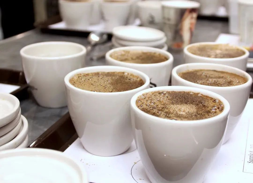 What’s the difference between COE and SOE? Understand everything from specialty coffee competitions to single-origin espresso extraction in one go
