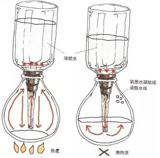 How to Choose Coffee Beans for Siphon Brewing? Complete Process and Parameter Settings Tutorial