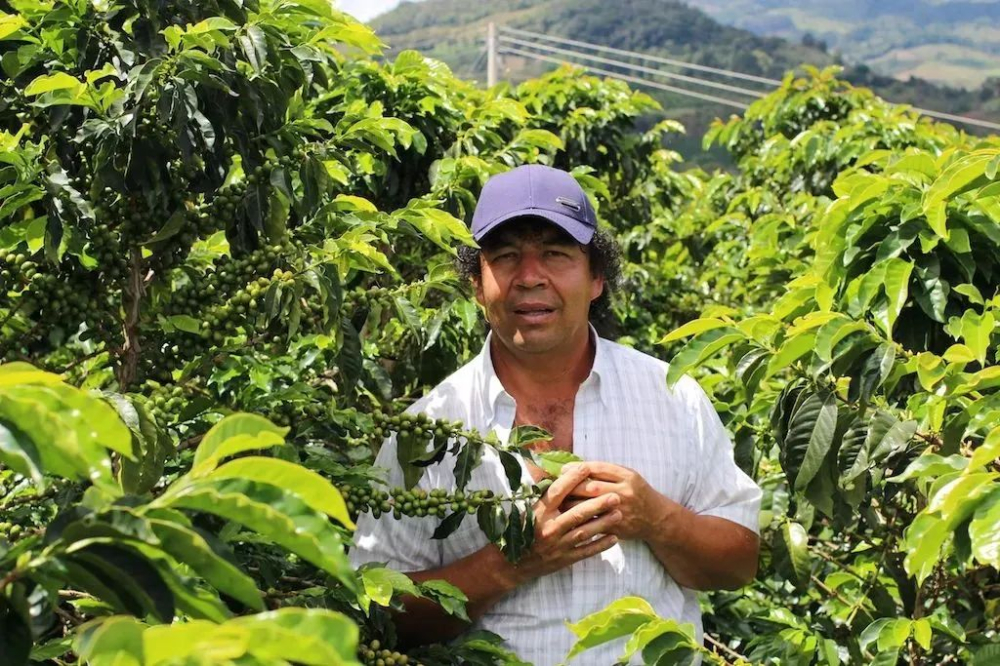 A Complete Guide to Colombian Coffee Regions, Grading & Processing | Flavor Profiles & Pour Over Recommendations