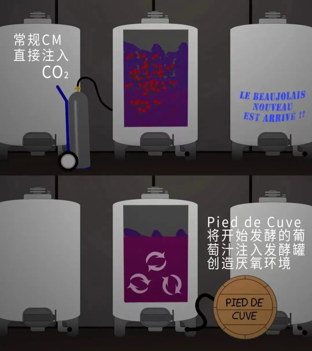 How is anaerobic fermentation coffee made? The key steps of the CM process to create wine-like aromas