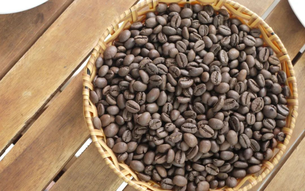 High-altitude Robusta from Vietnam: How anaerobic processing is reshaping traditional coffee perceptions