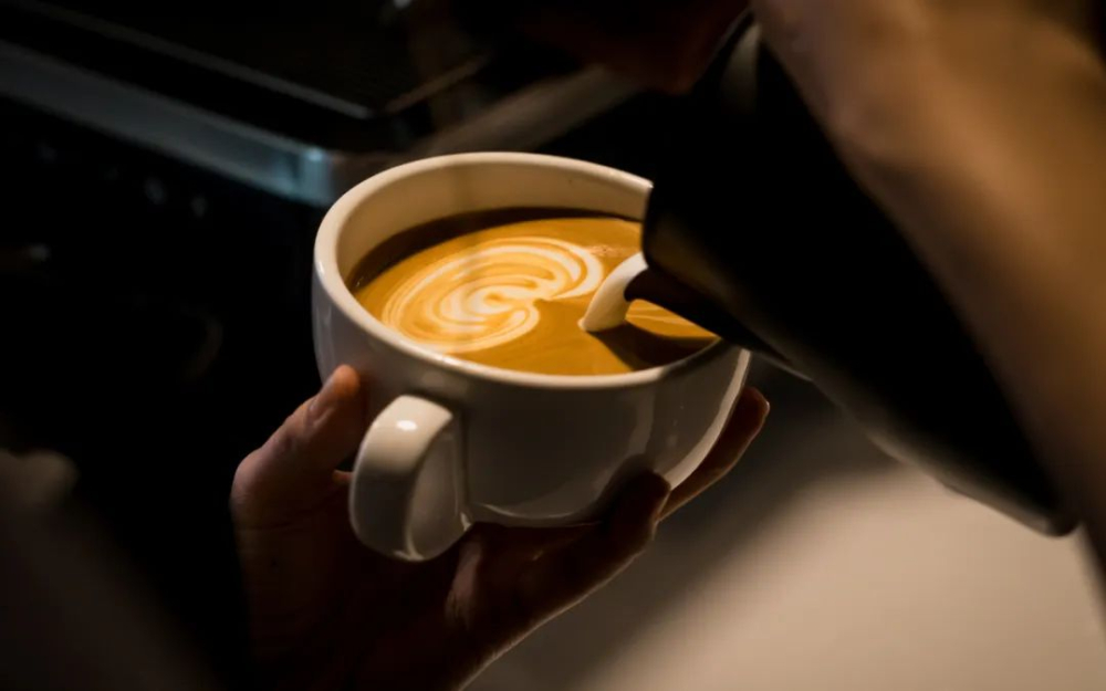New to Coffee? Your Ultimate Menu Guide: Common Drinks Explained & Beginner Recommendations
