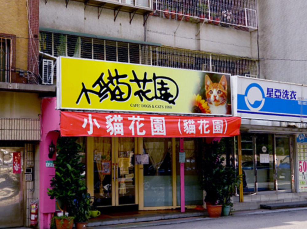 The Dark Side of Animal Cafés: A Comprehensive Analysis from the Rise of Cat Cafés to Illegal Wildlife Trade