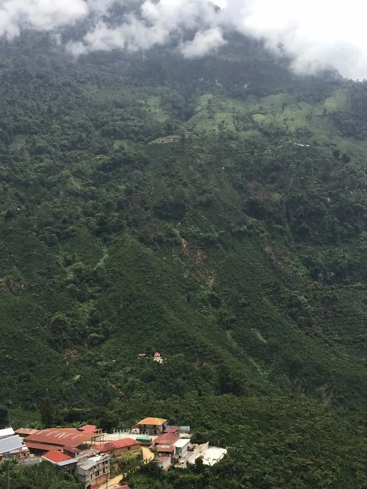 A Comprehensive Guide to Guatemala Huehuetenango Coffee: Flavor Profile, Processing Methods, Pour Over Recommendations, and Beginner Buying Tips