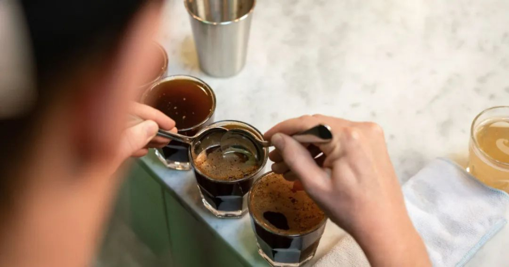 Complete Guide to Startup Costs for Community Cafés: Breakdown of Initial Capital and Operating Budgets