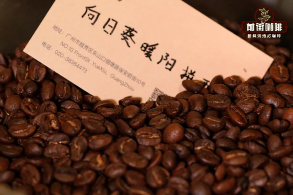 Complete Guide to Italian Blend Coffee Beans: Practical Steps and Techniques from Bean Selection to Extraction
