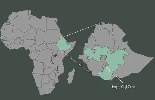 Ethiopia Gugu Warqaa TOH Washed Champion Bean: Flavor Profile & Pour Over Brewing Guide