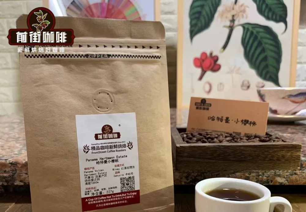 A Complete Guide to Panama Geisha Esmeralda: Differences Between Red, Green, and Blue Label Beans and Brewing Techniques