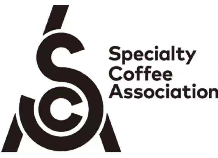 Complete Guide to SCA and Q Grader International Coffee Certifications: A Learning Path from Beginner to Professional