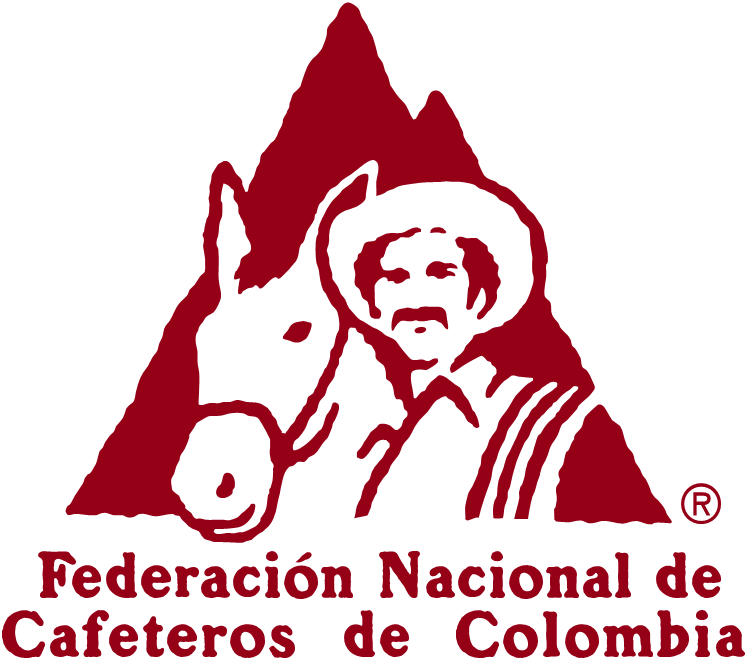 Complete Guide to Colombian Coffee Regions: From Highland Environments to Flavors and Brewing Techniques