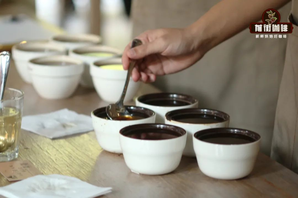 Beginner's Guide: Understanding the Differences Between SCA and SCAA Coffee Cupping Forms and the Complete Standard Process