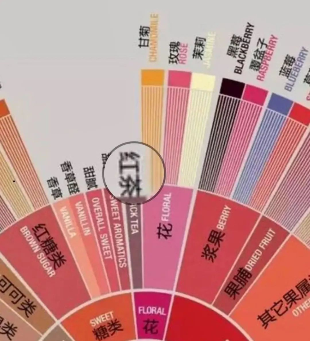 How does the tea-like sensation in coffee come about? Analyzing the differences between astringency, aftertaste, and the flavor wheel