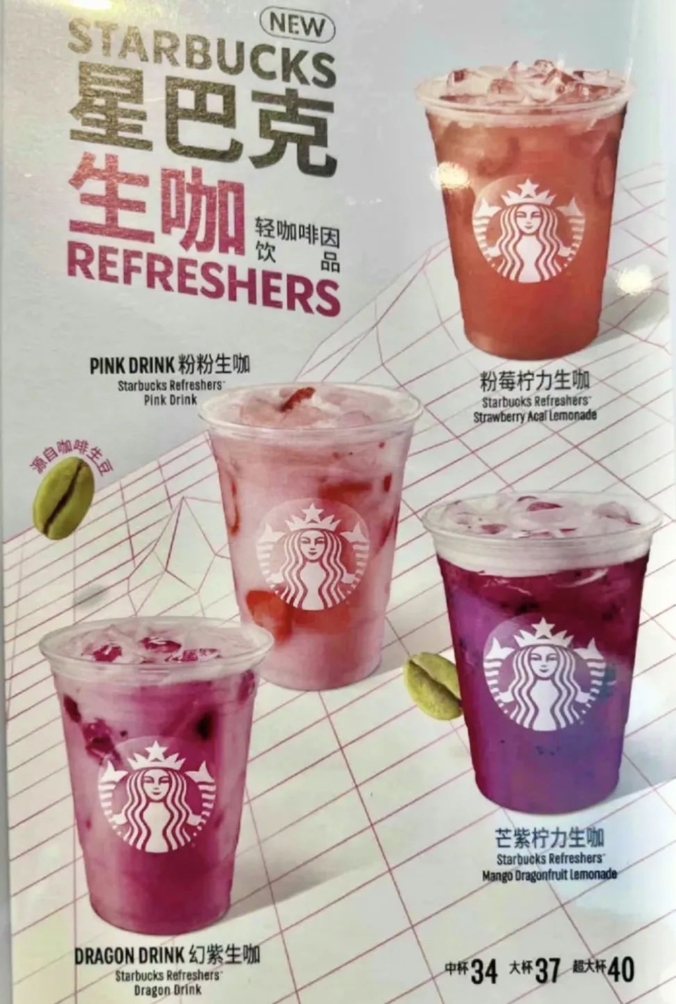 How much caffeine is in Starbucks green coffee powder? Real-test analysis of raw bean extraction and weight loss effects