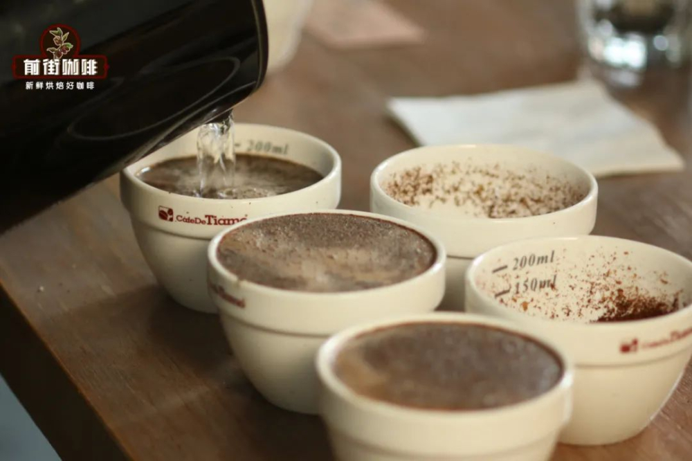 Beginner's Guide: Understanding the Differences Between SCA and SCAA Coffee Cupping Forms and the Complete Standard Process