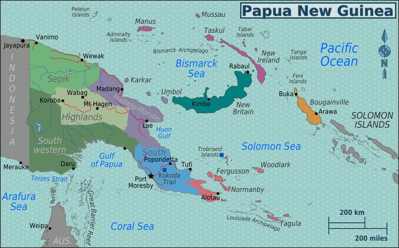 Papua New Guinea Bird of Paradise Coffee Beans: Pour Over Parameters and Flavor Profile of the Typica Variety