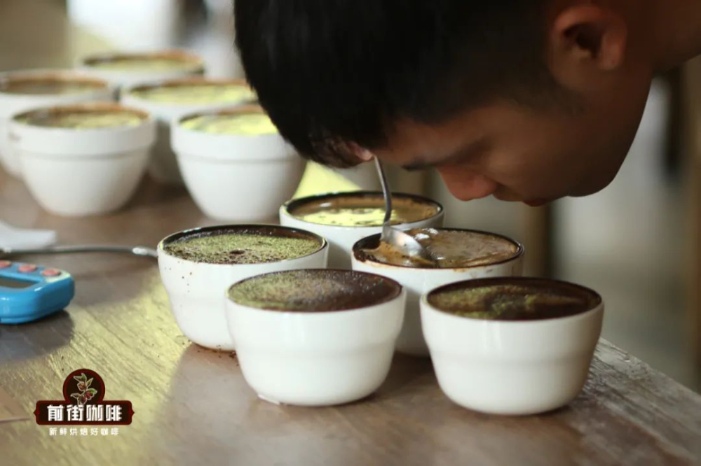 Beginner's Guide: Understanding the Differences Between SCA and SCAA Coffee Cupping Forms and the Complete Standard Process