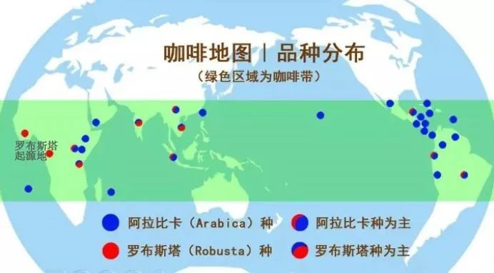How to Drink Robusta Coffee Beans? A Practical Guide from Flavor Drawbacks to Specialty Blends