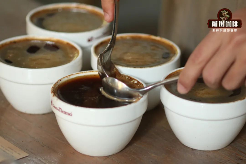 Beginner's Guide: Understanding the Differences Between SCA and SCAA Coffee Cupping Forms and the Complete Standard Process