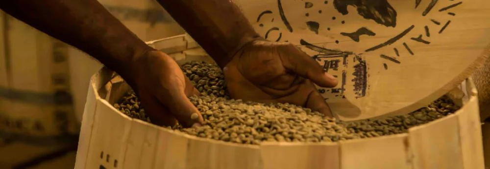 How to Choose Jamaican Blue Mountain Coffee? Debunking the Japanese Monopoly Rumor & Full Guide to Authentic Identification