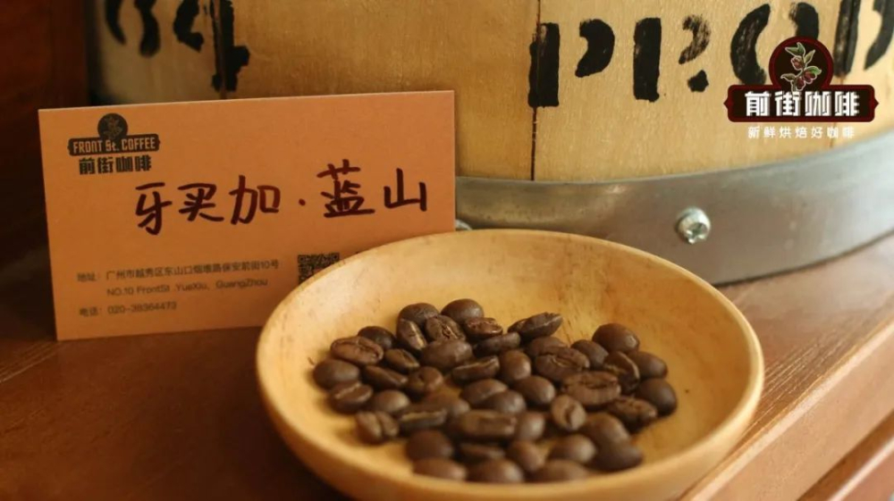 Unveiling Jamaica Blue Mountain Coffee Growing Regions & The Complete Guide to CIB Certification | Pour Over Coffee Bean Buying Guide