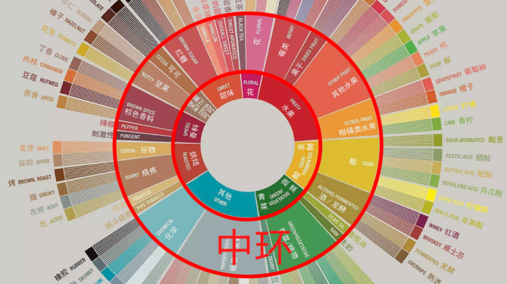 A Comprehensive Guide to the Coffee Taster’s Flavor Wheel: Practical Introduction from Cupping Techniques to Flavor Description