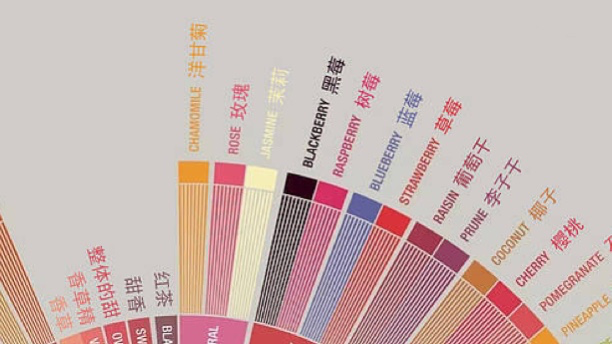 A Comprehensive Guide to the Coffee Taster’s Flavor Wheel: Practical Introduction from Cupping Techniques to Flavor Description