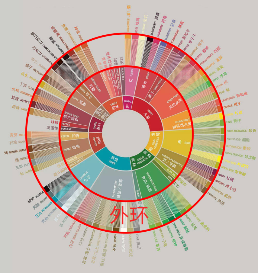 A Comprehensive Guide to the Coffee Taster’s Flavor Wheel: Practical Introduction from Cupping Techniques to Flavor Description