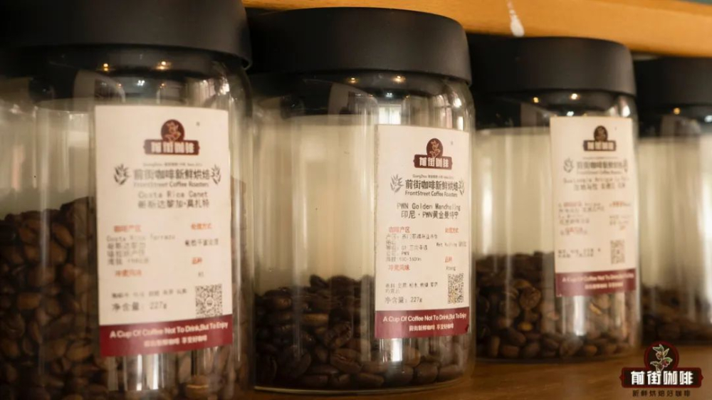 Full-Automatic Drip Coffee Maker Operation Guide & Coffee Bean Pairing Recommendations | Extraction Parameters & Flavor Analysis