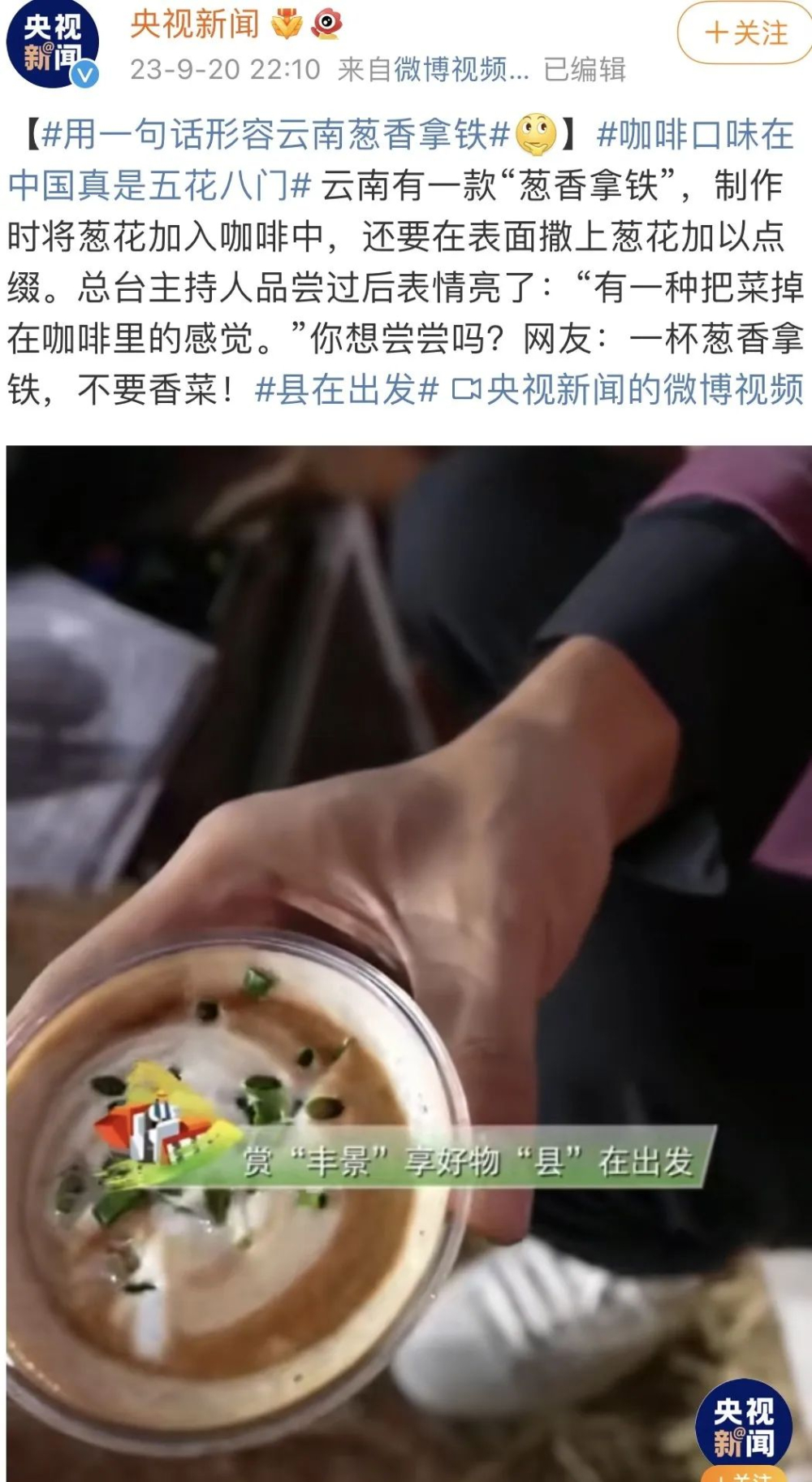Behind the Viral Scallion Latte: How Far Can the Trend of Novelty Coffee Go? An Analysis of Flavor Innovation and Market Acceptance