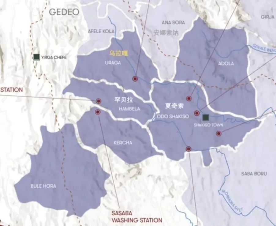 In-depth Analysis of Ethiopia’s Guji Region: Flavor Profiles and Origins of Hambella, Shakiso, and Uraga