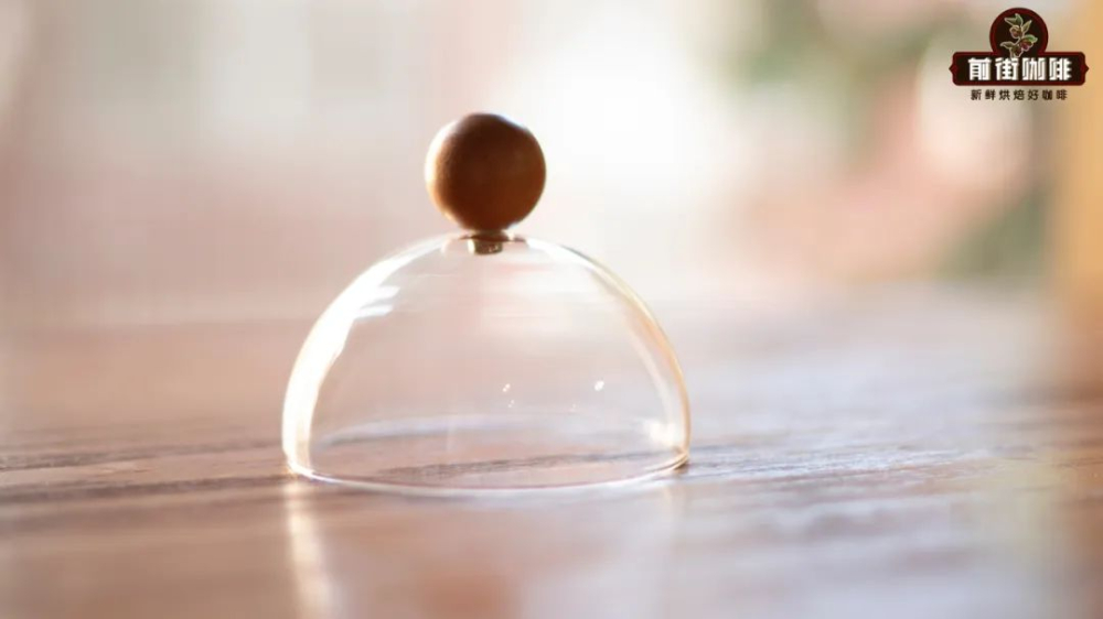 Complete Guide to the Matsuya Pour Over Method: High-Concentration Extraction with Lid Steaming and Parameter Analysis