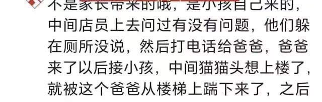Jiangsu Wuxi Cat Café Conflict Incident: A Guide to Balancing Safety and Rights in Interactions Between Children and Cats