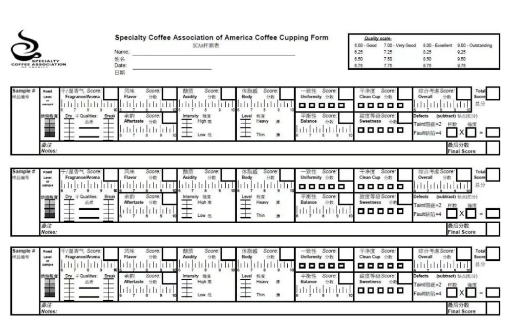 Coffee Quality Evaluation Secrets: Decoding the SCAA Cupping 11 Criteria and the 80-Point Specialty Threshold