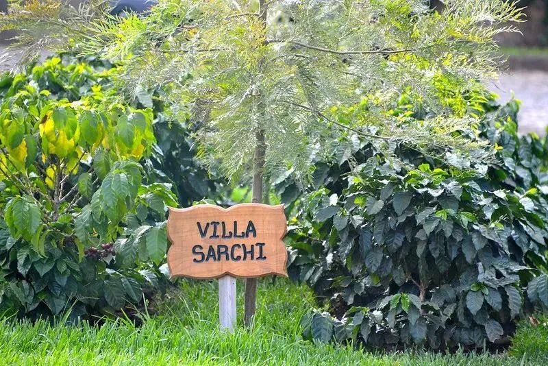 In-depth Analysis of Four Rare Coffee Varieties in the Americas | Flavor and Cultivation Characteristics of Villa Sarchi, Villalobos, Tekisic, and Bernardina