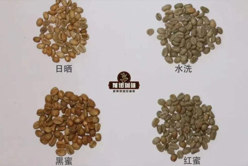 Are medium-roast coffee beans darker in color? Analyzing the relationship between roast color values and honey processing