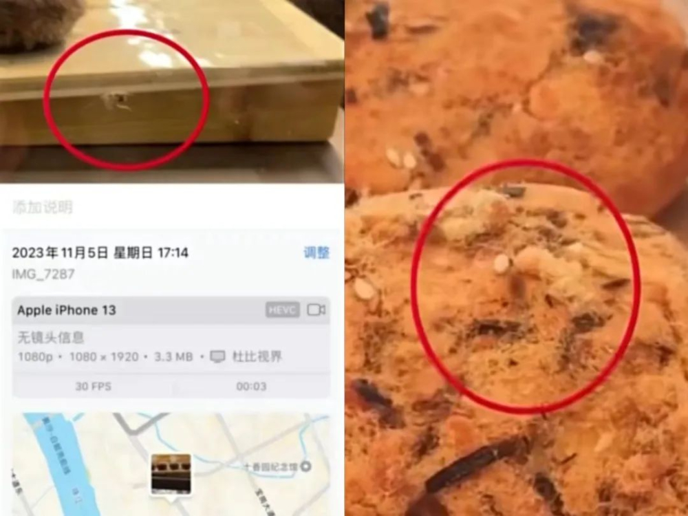 Frequent pest infestations in Nayuki stores' bread cabinets revealed: Analysis of hygiene risks behind the double-door design