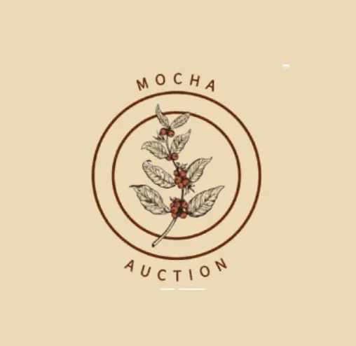 Preview of the 2024 Yemen Auction: Top 17 Premium Coffees with Cupping Scores of 91