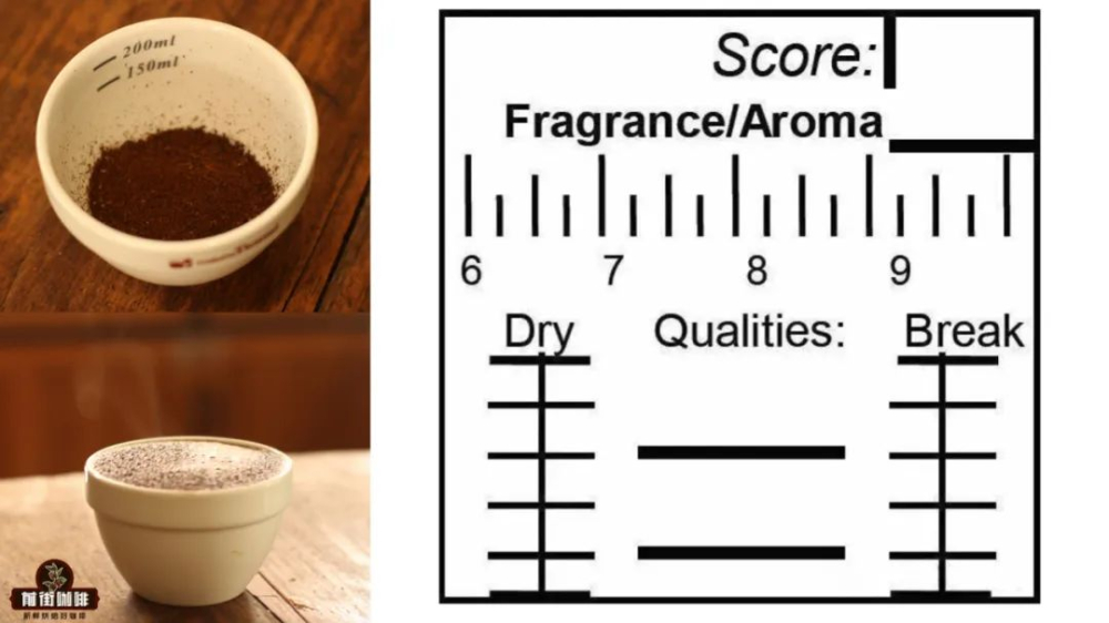 Coffee Quality Evaluation Secrets: Decoding the SCAA Cupping 11 Criteria and the 80-Point Specialty Threshold