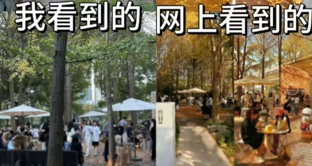 On-site Visit to Shanghai Lujiazui Ginkgo Café: Analyzing the Gap Between Instagram Photos and Reality